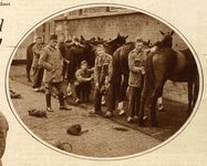 300081 Afbeelding van enkele militairen bij de verzorging van paarden op het terrein van de Kazerne der Veldartillerie ...